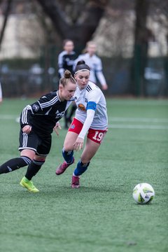 Bild 38 - wBJ HSV - F VfL Jesteburg : Ergebnis: 6:1